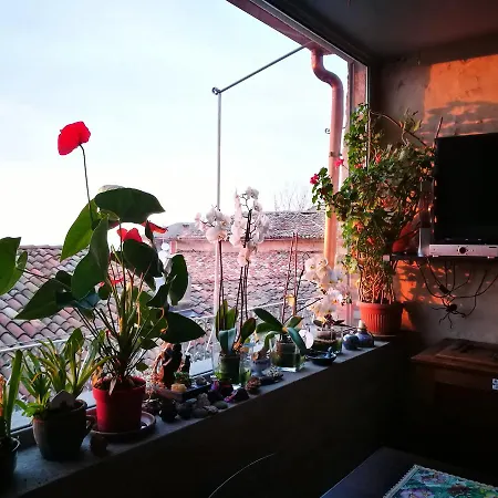Casaforte Alba In Langa Panzió