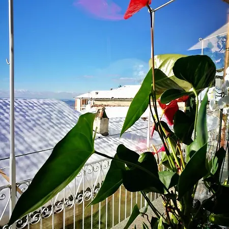 Casaforte Alba In Langa Bed & Breakfast