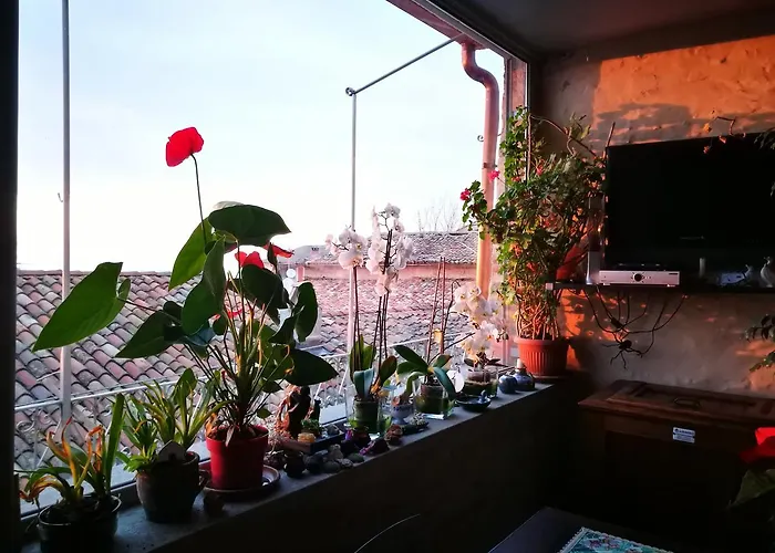 Casaforte Alba In Langa Panzió
